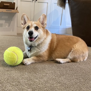 Fundraising Page: Hannah Wallenbrock